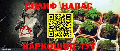скорость Жуковский