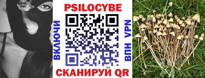 где найти наркотики  Лосино-Петровский  Галлюциногенные грибы прущие грибы 